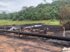 El medio ambiente está por encima de los negocios – Editorial medio ambiente