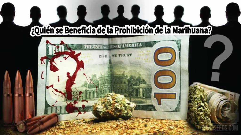 La Marihuana ilegal beneficia a los criminales que se lucran de los altos precios de la prohibición