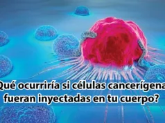 ¿Qué ocurriría si células cancerígenas fueran inyectadas en tu cuerpo? – Por: Iván Fernández Amil