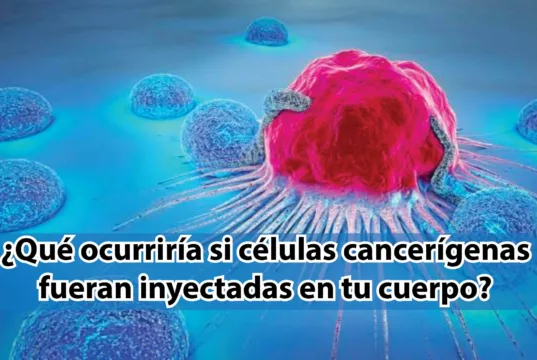 ¿Qué ocurriría si células cancerígenas fueran inyectadas en tu cuerpo? – Por: Iván Fernández Amil