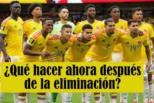 ¿Qué hacer ahora después de la eliminación?