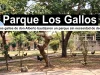 Parque Los Gallos – Por: Benito Guerra Fuentes